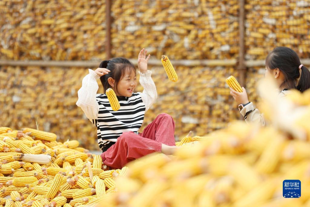 百盈足球苹果
